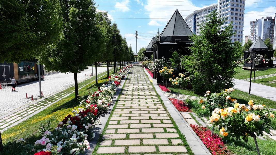1,8 milyon çiçek, açtı: İşte göz kamaştıran Konya park ve caddeleri 12